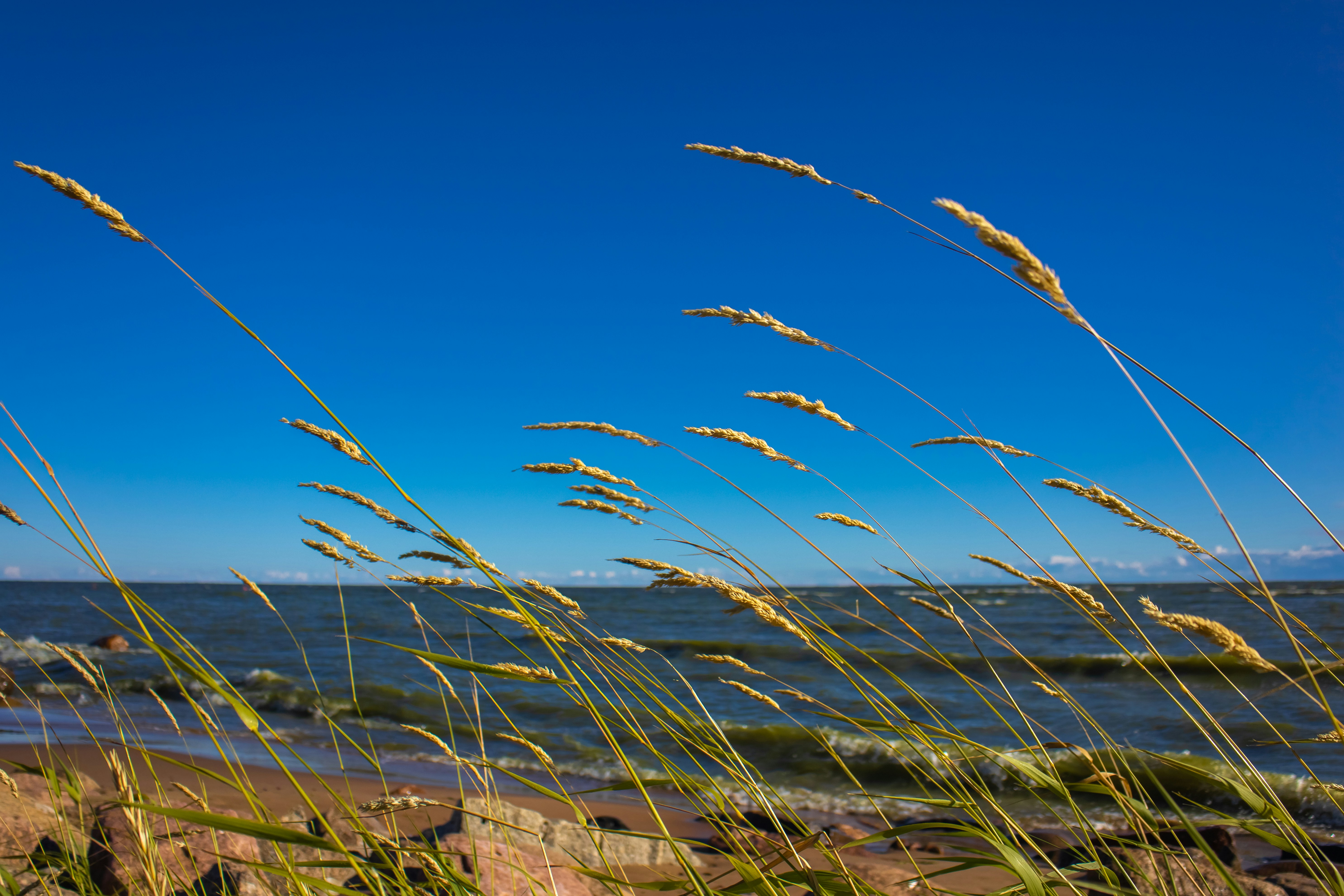 Gulf Coast marsh at sunset — KB Compliance operating environment